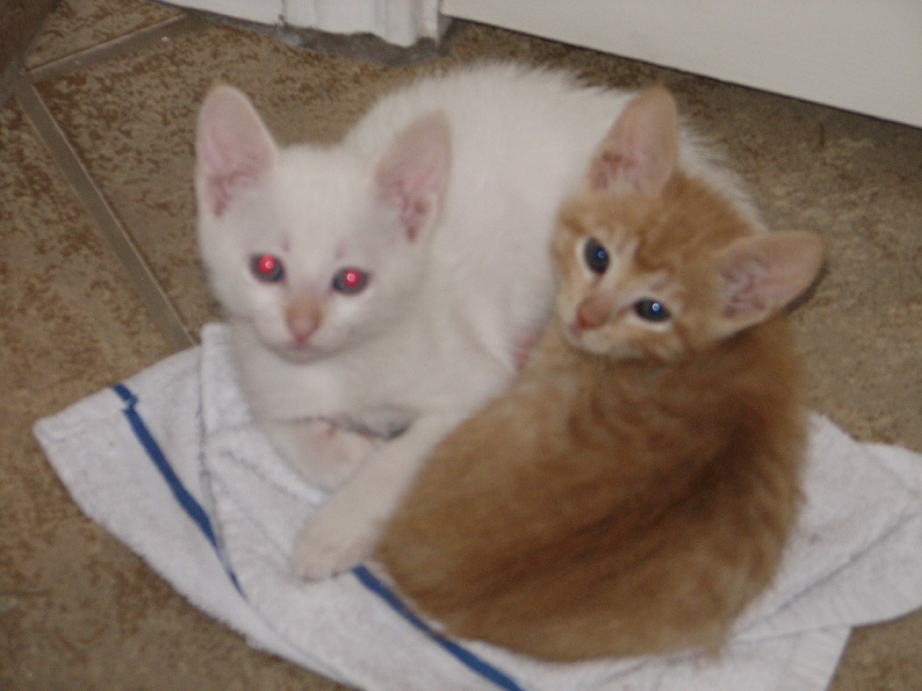 20100206 442.JPG